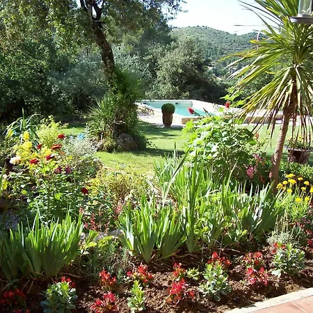 La Paliere *